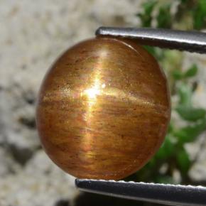 Pedra do Sol Estelar Marrom dourado Natural 8.30ct, Corte Oval, Opaco