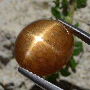 Pedra do Sol Estelar Marrom dourado Natural 8.30ct, Corte Oval, Opaco