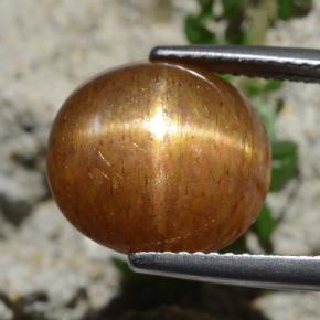 Pedra do Sol Estelar Marrom dourado Natural 8.30ct, Corte Oval, Opaco