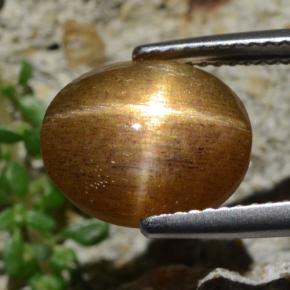 Pedra do Sol Estelar Marrom dourado Natural 4,93ct, Corte Oval, Opaco
