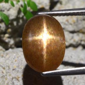 Pedra do Sol Estelar Marrom dourado Natural 4.80ct, Corte Oval, Opaco