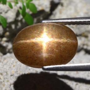 Pedra do Sol Estelar Marrom dourado Natural 4.80ct, Corte Oval, Opaco