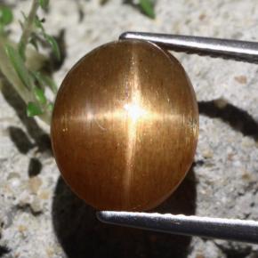Pedra do Sol Estelar Marrom dourado Natural 7.06ct, Corte Oval, Opaco