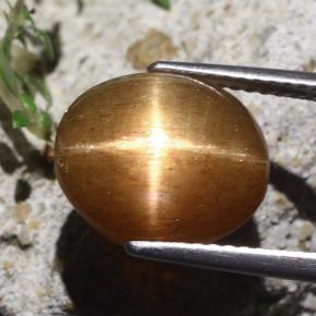Pedra do Sol Estelar Marrom dourado Natural 7.06ct, Corte Oval, Opaco