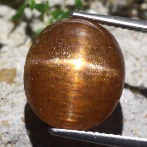 Pedra do sol estrela marrom natural 9,36ct, corte oval, opaco