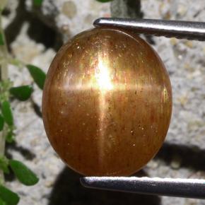 Pedra do Sol Estelar Marrom dourado Natural 5.40ct, Corte Oval, Opaco