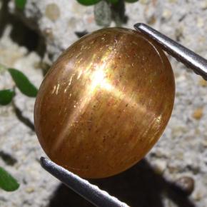 Pedra do Sol Estelar Marrom dourado Natural 5.40ct, Corte Oval, Opaco