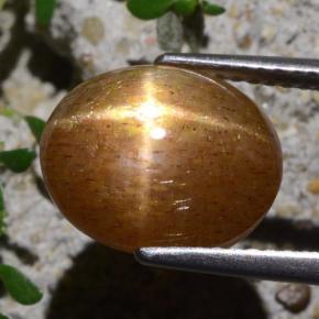 Pedra do Sol Estelar Marrom dourado Natural 5.40ct, Corte Oval, Opaco