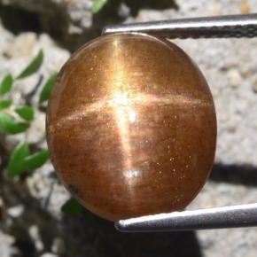 Pedra do Sol Estelar Marrom dourado Natural 9.51ct, Corte Oval, Opaco