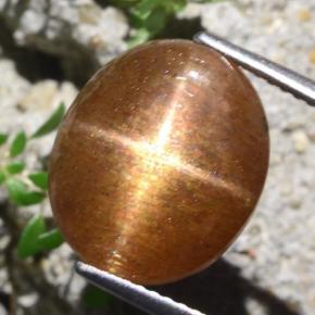 Pedra do Sol Estelar Marrom dourado Natural 9.51ct, Corte Oval, Opaco