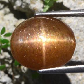 Pedra do Sol Estelar Marrom dourado Natural 9.51ct, Corte Oval, Opaco