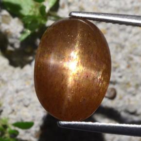 Pedra do sol estrela marrom natural 6,29ct, corte oval, opaco