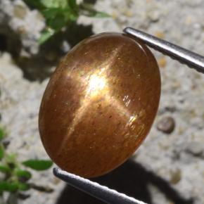 Pedra do sol estrela marrom natural 6,29ct, corte oval, opaco