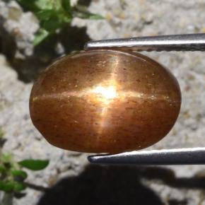 Pedra do sol estrela marrom natural 6,29ct, corte oval, opaco