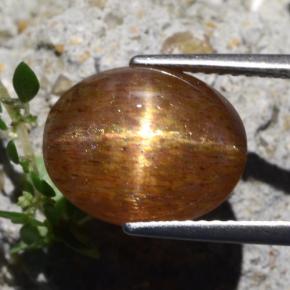 Pedra do Sol Estelar Marrom dourado Natural 7.04ct, Corte Oval, Opaco