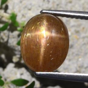 Pedra do Sol Estrela Marrom dourado Natural 4,31ct, Corte Oval, Opaco