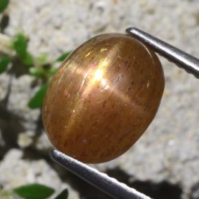 Pedra do Sol Estrela Marrom dourado Natural 4,31ct, Corte Oval, Opaco