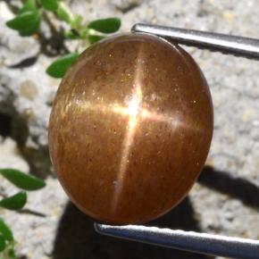 Pedra do Sol Estelar Marrom dourado Natural 8.36ct, Corte Oval, Opaco