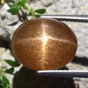 Pedra do Sol Estelar Marrom dourado Natural 8.36ct, Corte Oval, Opaco