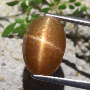Pedra do Sol Estelar Marrom dourado Natural 5.66ct, Corte Oval, Opaco