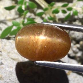 Pedra do Sol Estelar Marrom dourado Natural 5.66ct, Corte Oval, Opaco