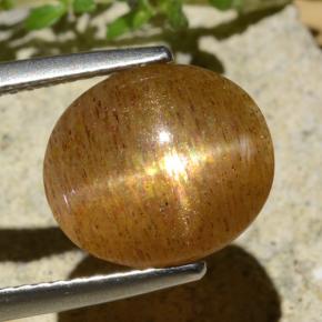 Pedra do Sol Estelar Marrom dourado Natural 3.99ct, Corte Oval, Translúcido