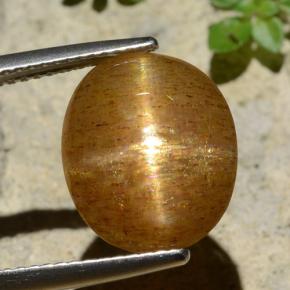 Pedra do Sol Estelar Marrom dourado Natural 6.61ct, Corte Oval, Opaco