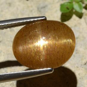 Pedra do Sol Estelar Marrom dourado Natural 6.61ct, Corte Oval, Opaco