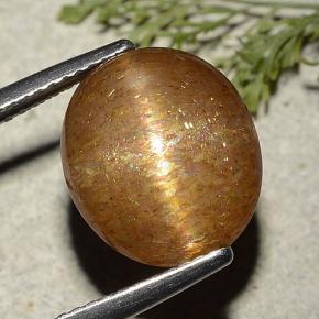 Pedra do Sol Estelar Marrom dourado Natural 7.25ct, Corte Oval, Translúcido