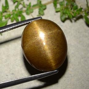 Pedra do Sol Estelar Marrom dourado Natural 16.93ct, Corte Oval, Opaco