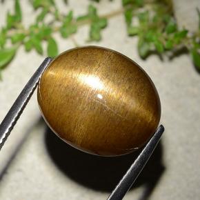 Pedra do Sol Estelar Marrom dourado Natural 16.93ct, Corte Oval, Opaco