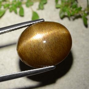 Pedra do Sol Estelar Marrom dourado Natural 16.93ct, Corte Oval, Opaco