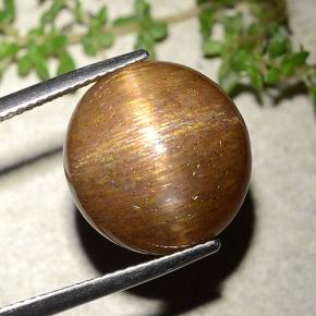 Pedra do Sol Estelar Marrom dourado Natural 15.15ct, Corte Redondo, Opaco