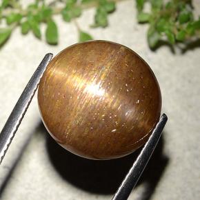 Pedra do Sol Estelar Marrom dourado Natural 15.15ct, Corte Redondo, Opaco