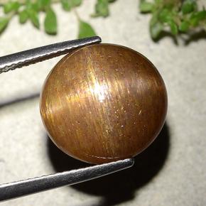 Pedra do Sol Estelar Marrom dourado Natural 15.15ct, Corte Redondo, Opaco