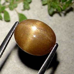 Pedra do Sol Estelar Marrom dourado Natural 6.21ct, Corte Oval, Opaco