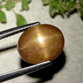 Pedra do Sol Estelar Marrom dourado Natural 6.21ct, Corte Oval, Opaco