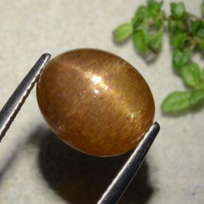 Pedra do Sol Estelar Marrom dourado Natural 7.51ct, Corte Oval, Opaco