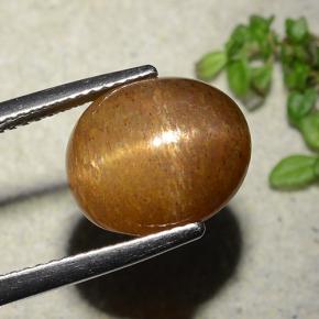 Pedra do Sol Estelar Marrom dourado Natural 7.51ct, Corte Oval, Opaco