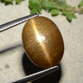 Pedra do Sol Estelar Marrom dourado Natural 7.67ct, Corte Oval, Opaco