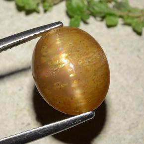 Pedra do sol estrela dourado natural 8,25ct, corte oval, opaco