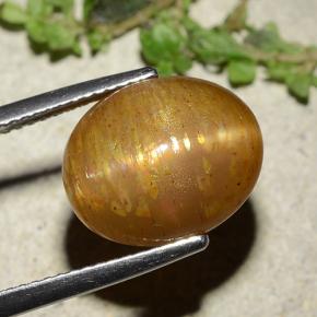 Pedra do sol estrela dourado natural 8,25ct, corte oval, opaco