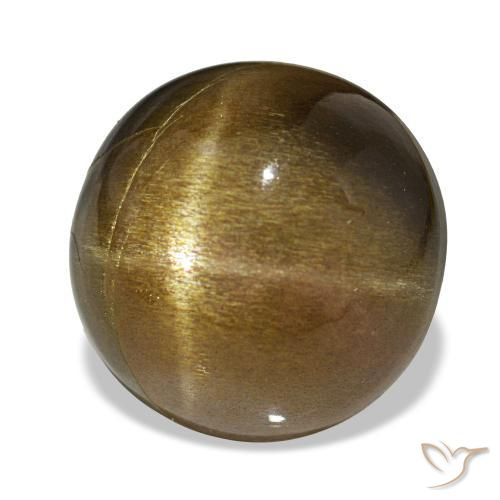 Pedra do Sol Estelar Marrom dourado Natural 11.00ct, Corte Oval, Opaco