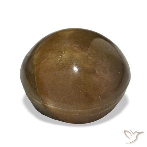 Pedra do Sol Estelar Marrom dourado Natural 11.00ct, Corte Oval, Opaco