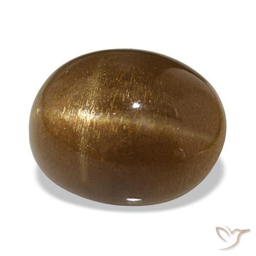 Pedra do sol estrela marrom natural 15,77ct, corte oval, opaco