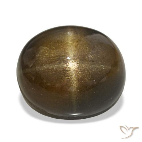 Pedra do Sol Estelar Castanho médio Natural 21.88ct, Corte Oval, Opaco