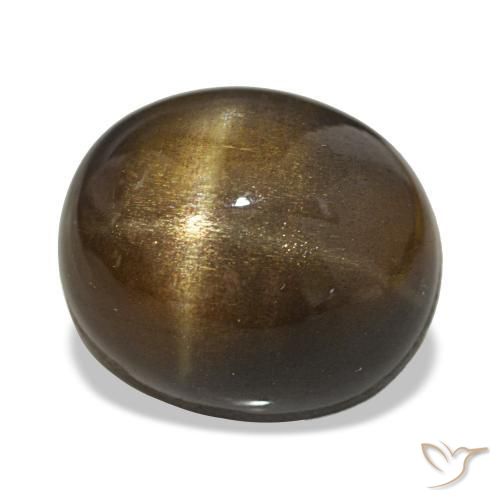 Pedra do Sol Estelar Castanho médio Natural 21.88ct, Corte Oval, Opaco