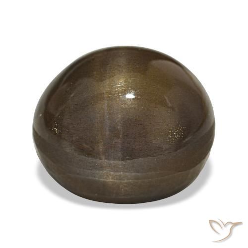 Pedra do Sol Estelar Castanho médio Natural 21.88ct, Corte Oval, Opaco