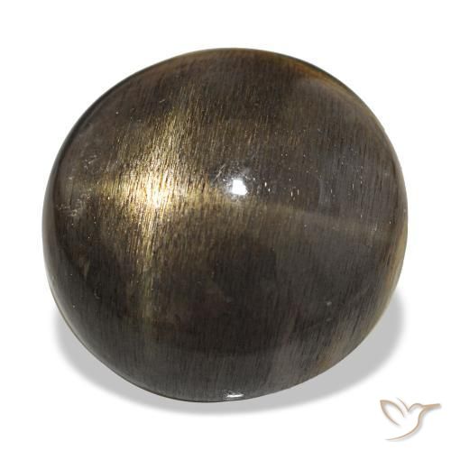 Pedra do Sol Estelar Medium Light-Brown Natural 18.38ct, Corte Redondo, Opaco