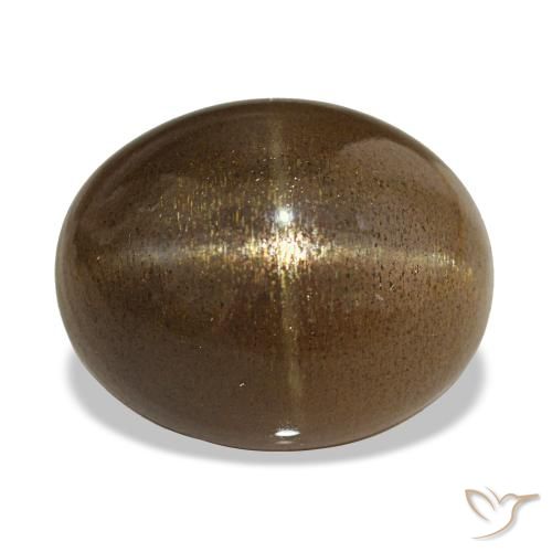 13.92ct Café Marrom Pedra do Sol Estelar, oval, Opaco